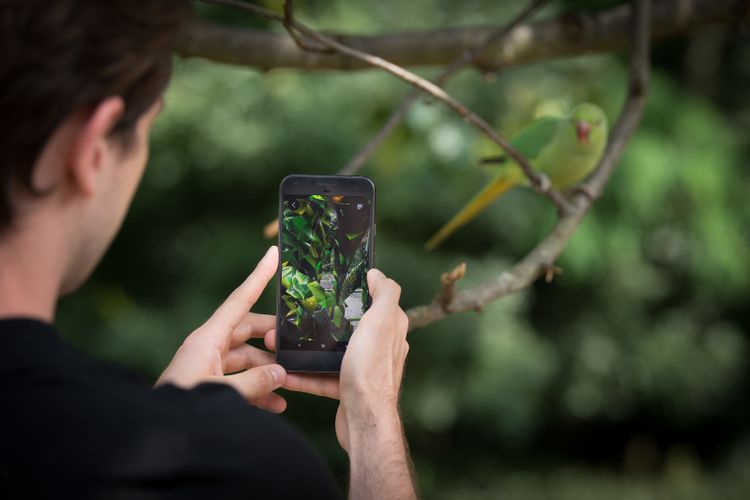 The natural world meets the virtual in Jakob Kudsk Steenson's augmented reality experience at Serpentine Galleries