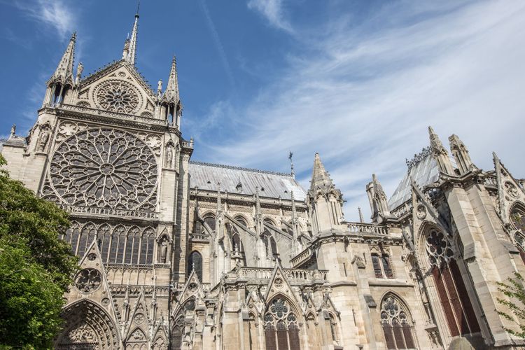 Construction on Notre Dame pushed back to 19 August as steps taken to decontaminate site from lead