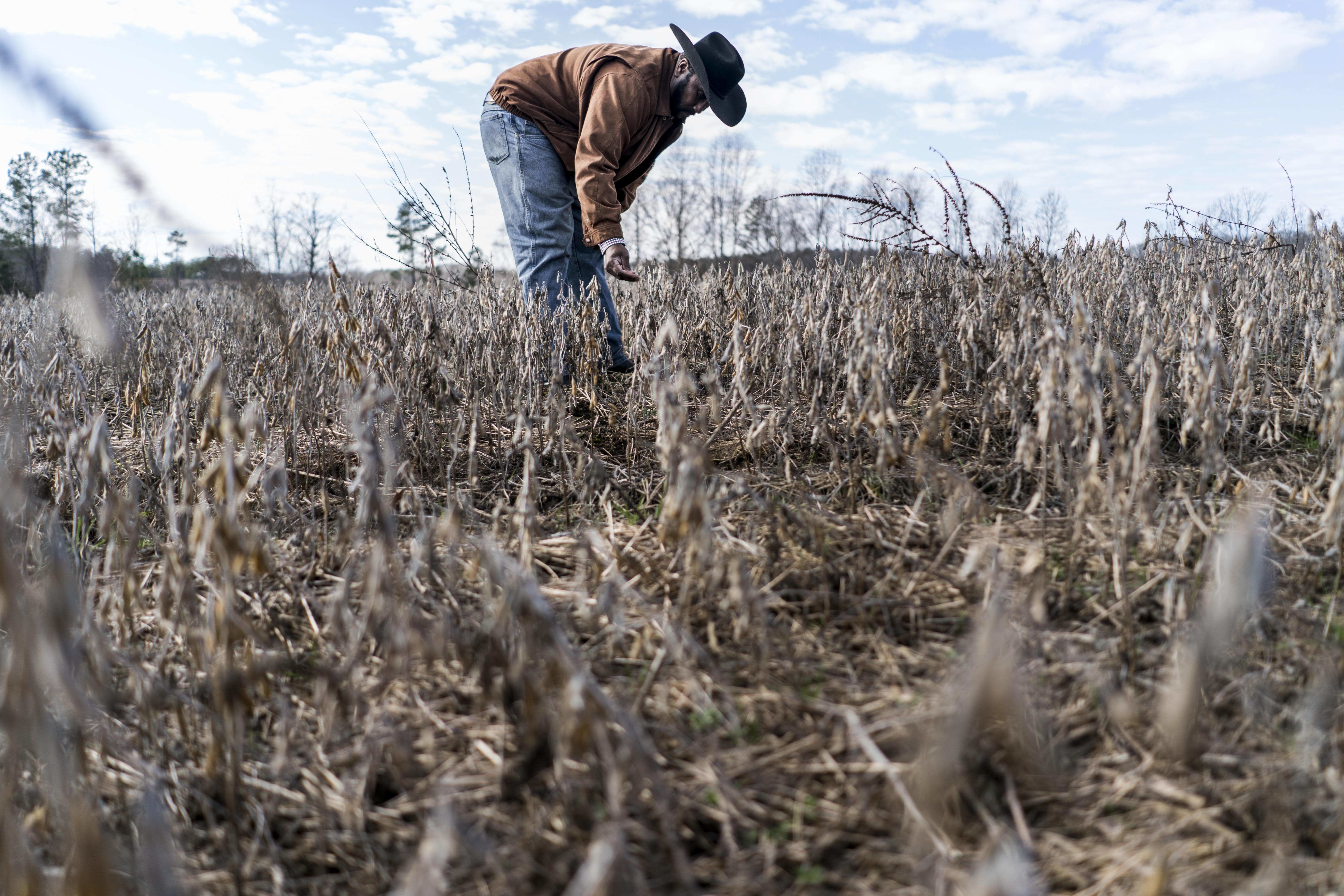 Soybean farmers are working new markets