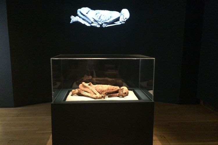 UK national museums lent almost half a million objects around the world last year