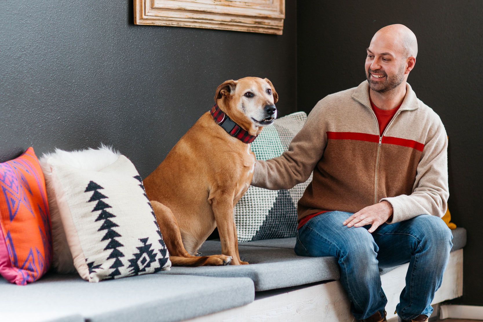 Where to stay and play with your pup on National Dog Day