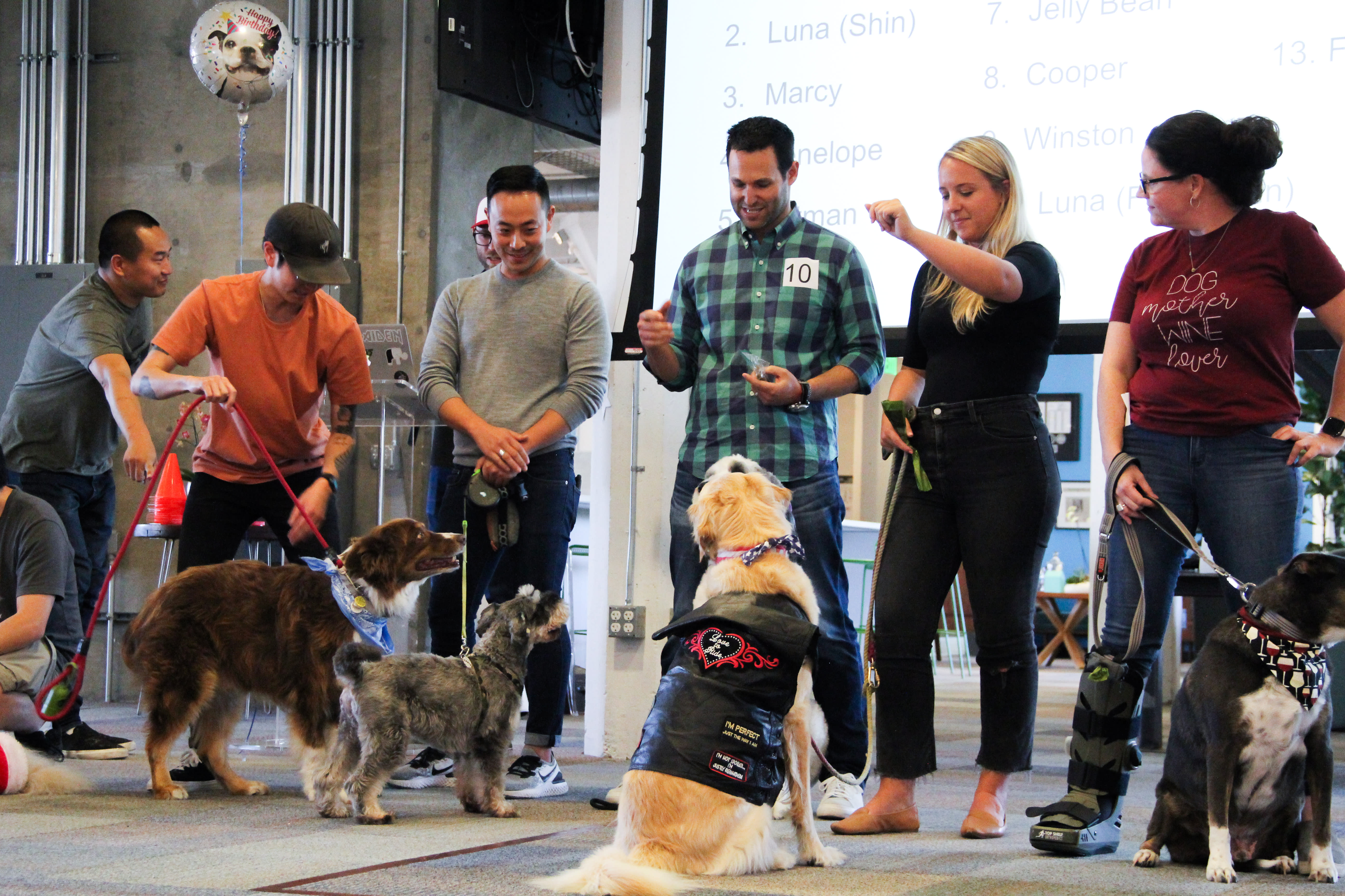 AdRoll's annual dog show is a celebration of the company's pet friendly culture