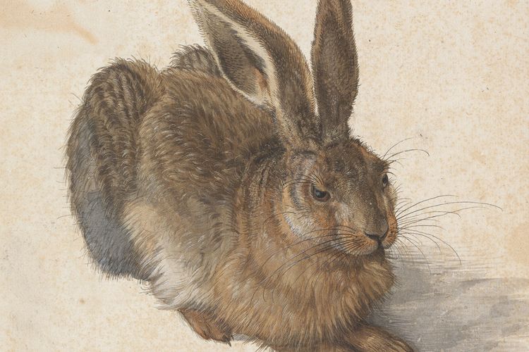 Albertina’s Albrecht Dürer drawings enjoy a rare outing