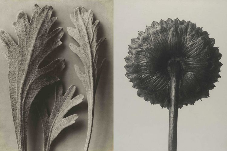 Germany plans photography archive to preserve 'visual memory of our society'