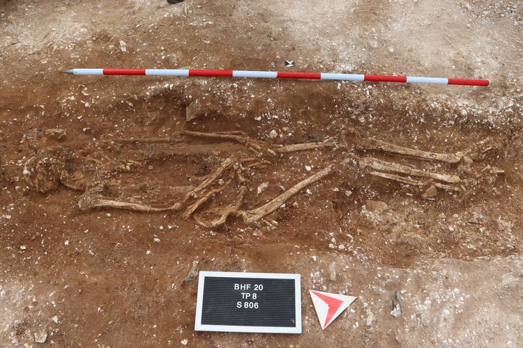 Remains of 'tall and robust' Anglo Saxon warrior found by amateur detectorist in UK