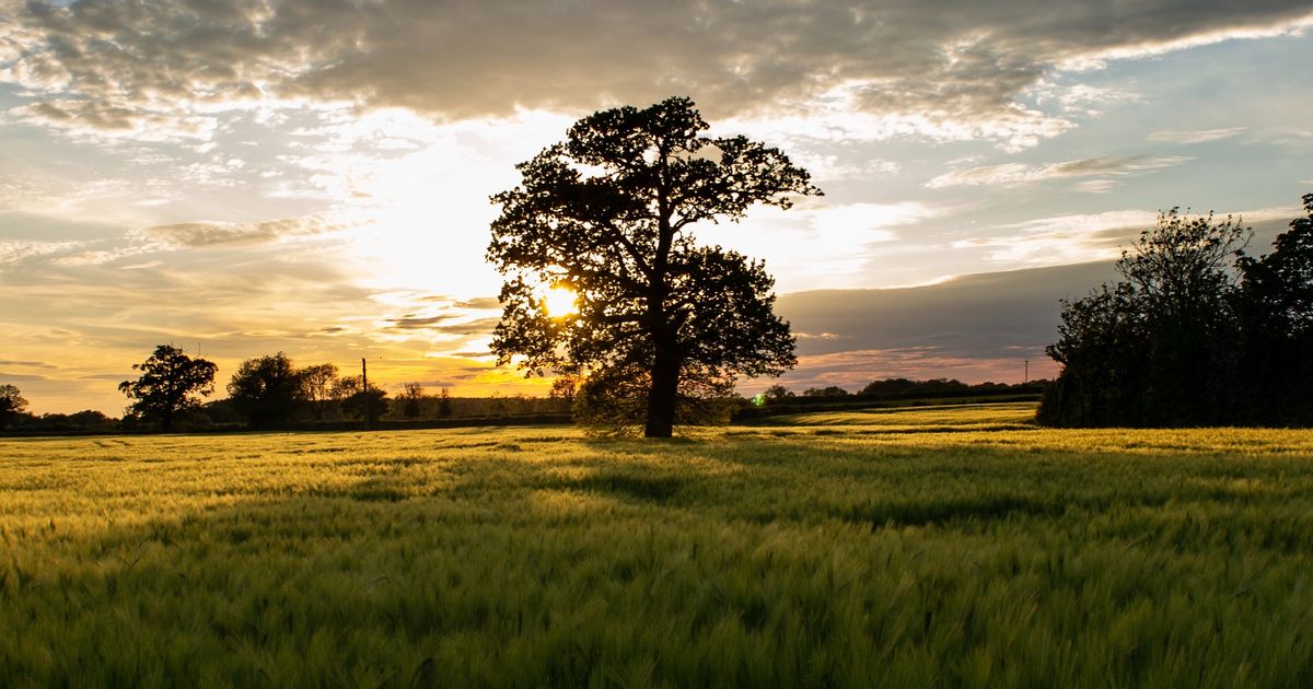 Pastures new: why some top gallery staff are moving on from longtime jobs