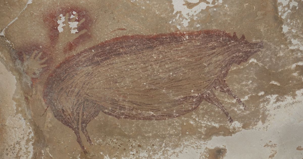 This warty pig is the world's oldest animal painting