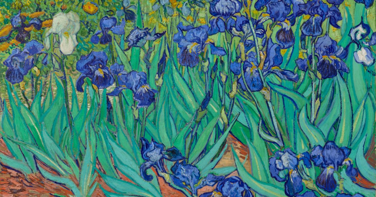 Irises: anniversary of Van Gogh’s finest garden picture, painted on his first morning in the asylum