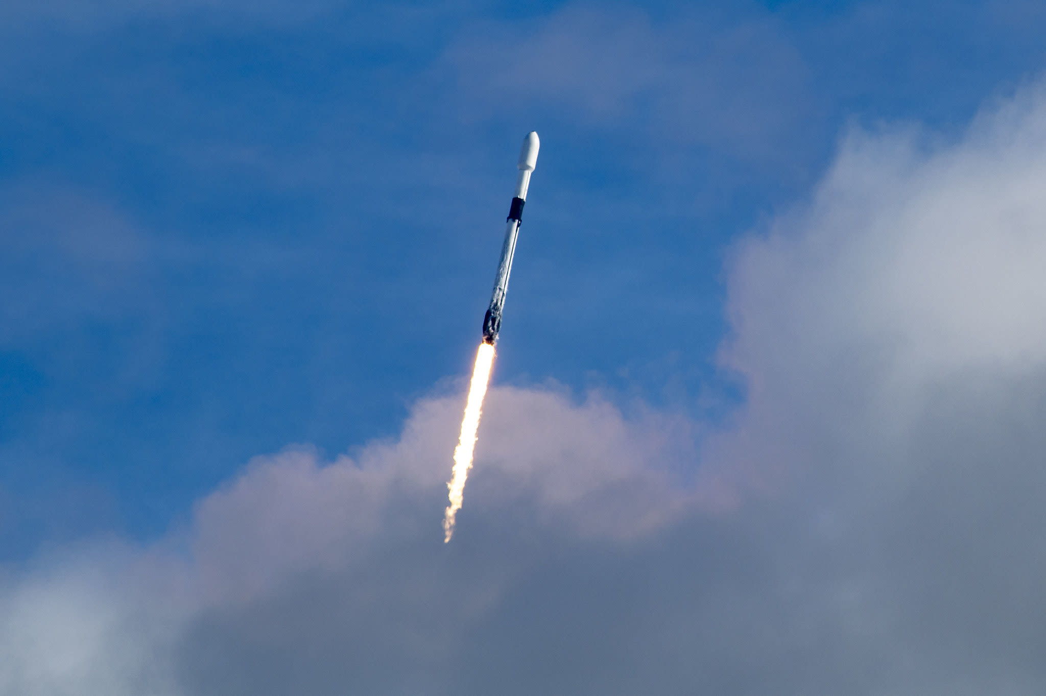 SpaceX is buying satellite data start-up Swarm, in a rare acquisition by Elon Musk's space company